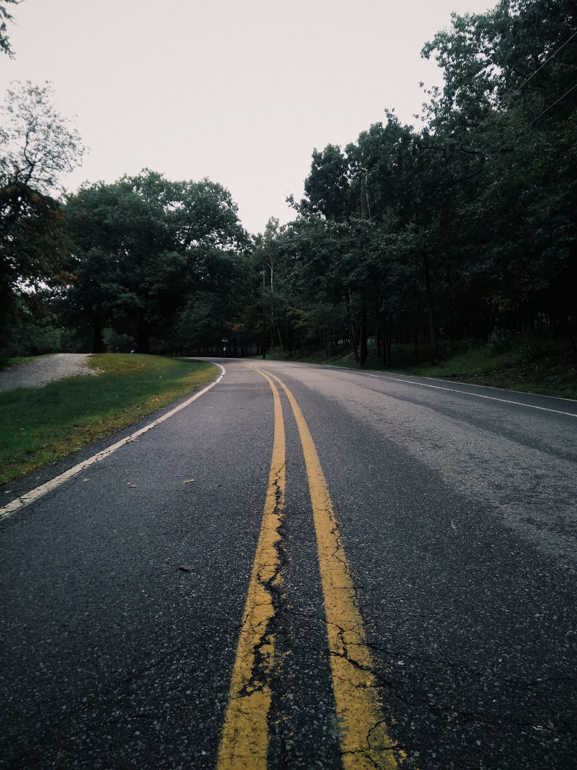 road through trees