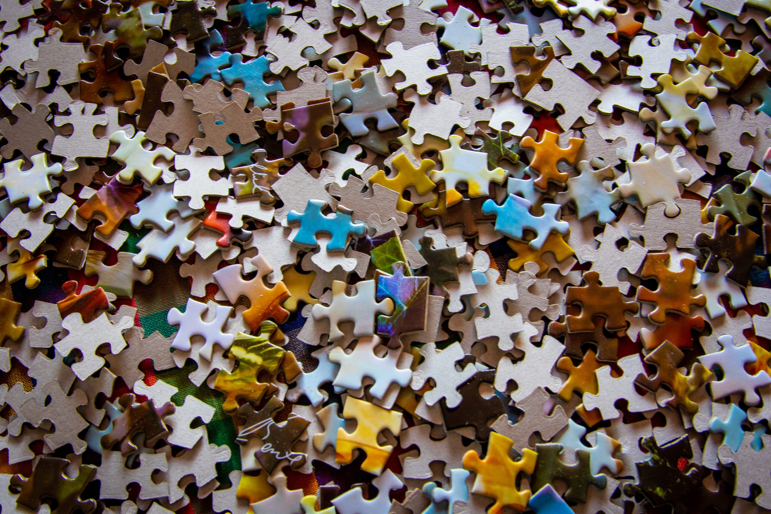 Jigsaw pieces